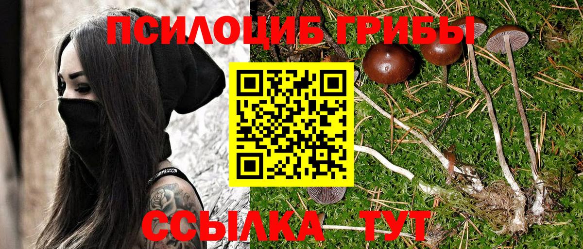 цены   Галлюциногенные грибы GOLDEN TEACHER  Вход с VPN  Конаково 