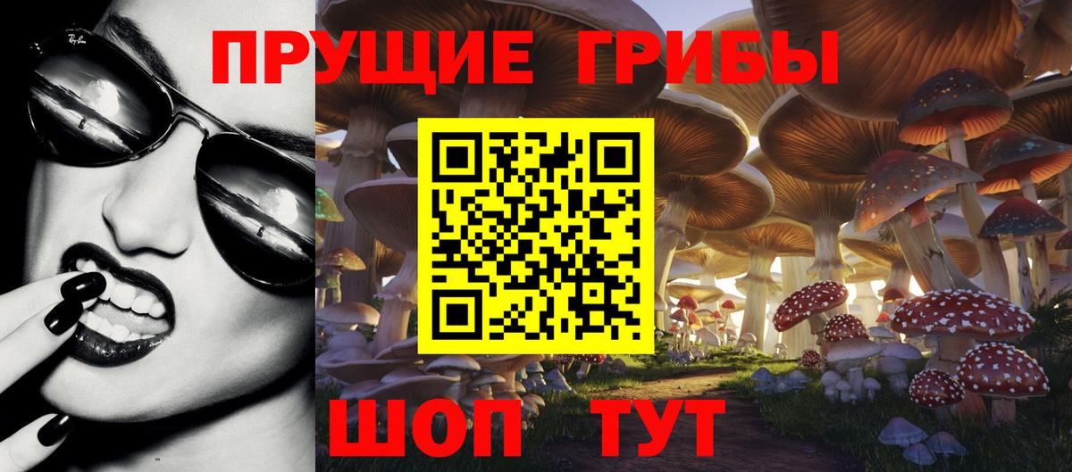 Галлюциногенные грибы Psilocybine cubensis Конаково